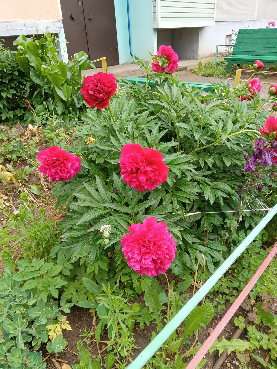 Фото автора в городе.