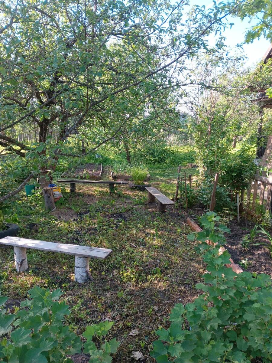 Фото автора сюда мангал выносят.