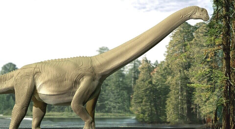   Travis Tischler / CC BY-SA