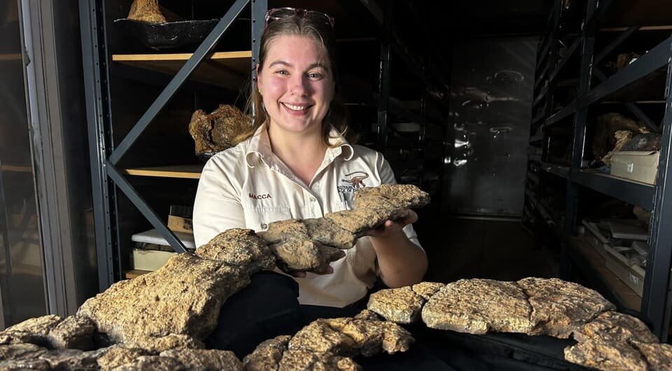   Stephen Poropat / CC BY-SA