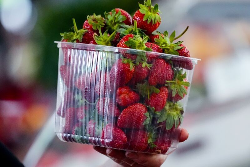     / Источник: ©ИЗВЕСТИЯ/Эдуард Корниенко