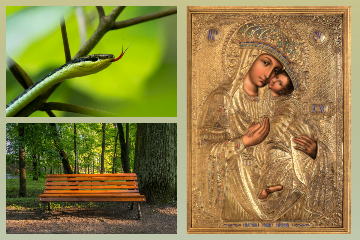 Икона Богородицы Споручница Грешных, Корецкая/azbuka.ru, Змея,скамья/pixabay.com