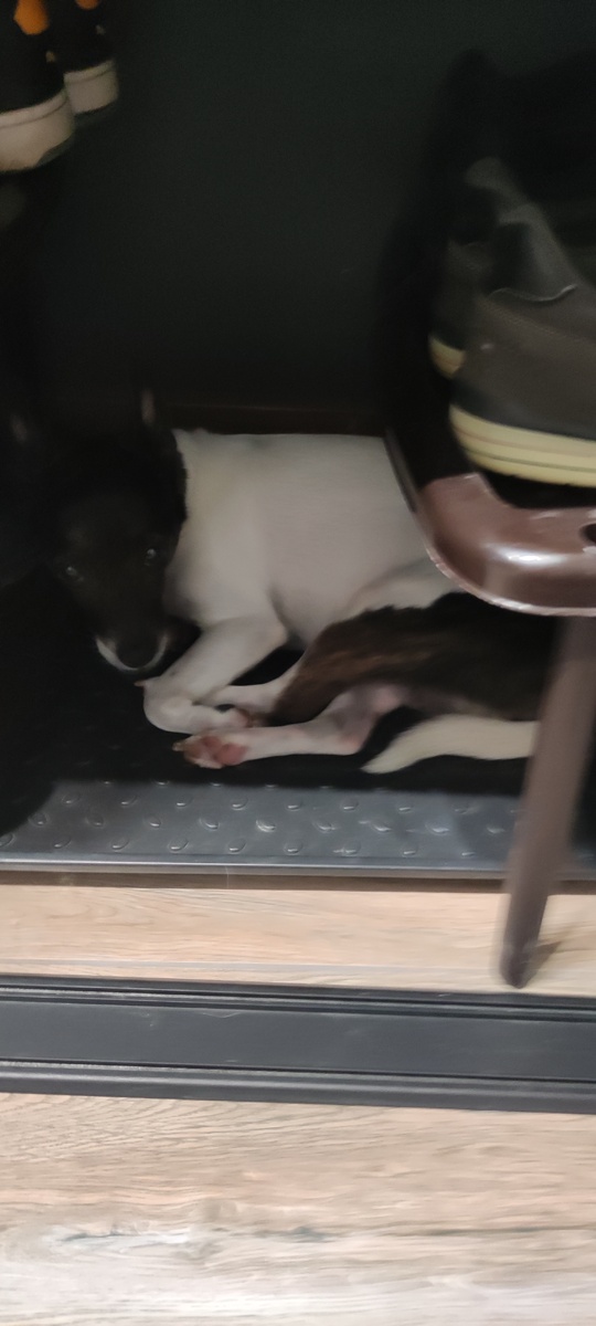 Боня в шкафу 