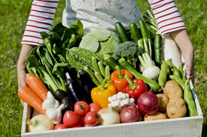 Секретное удобрение из вашей кухни: как банановая кожура увеличит урожай