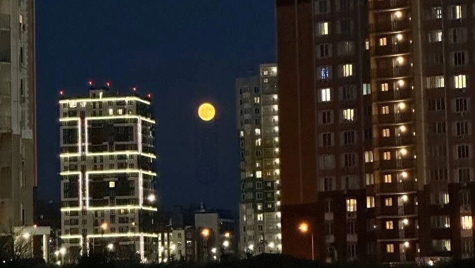     Источник: rostovgazeta.ru