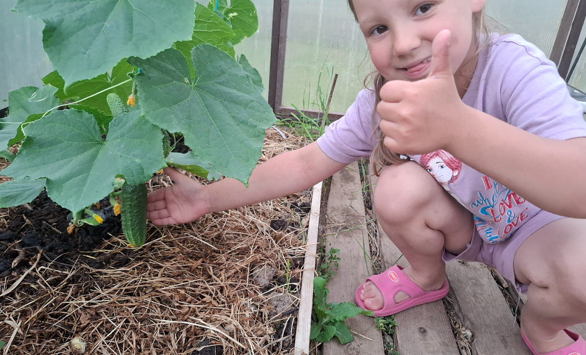 Начало положено!