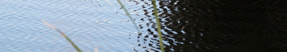    Фото: Сергей Егоров