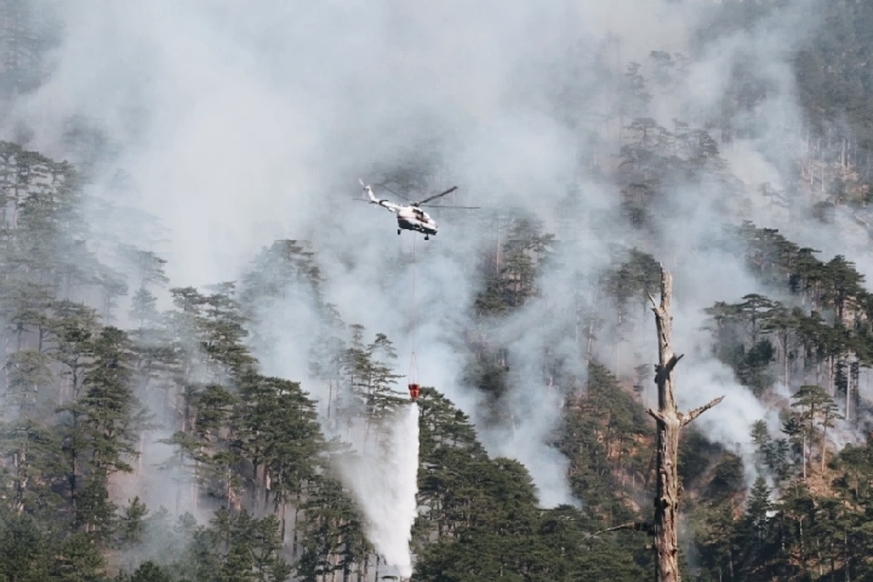 Фото: пресс-служба ГУ МЧС России по РК