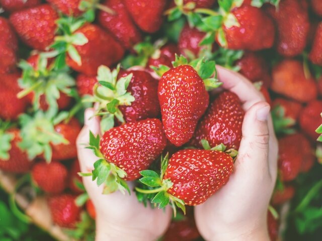    Фото: 123RF/yanadjana