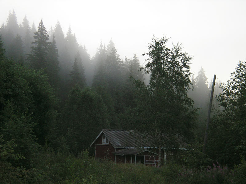 фото из интернета