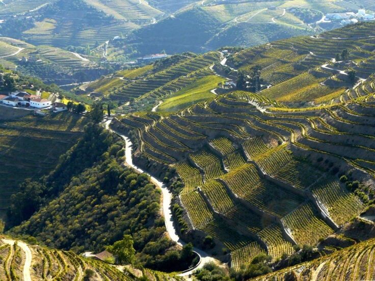 Предполагаемое местоположение отеля. Долина Дору, Португалия.