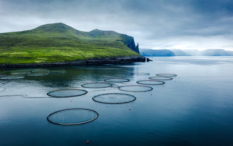 Фермы аквакультуры на Фарерских островах