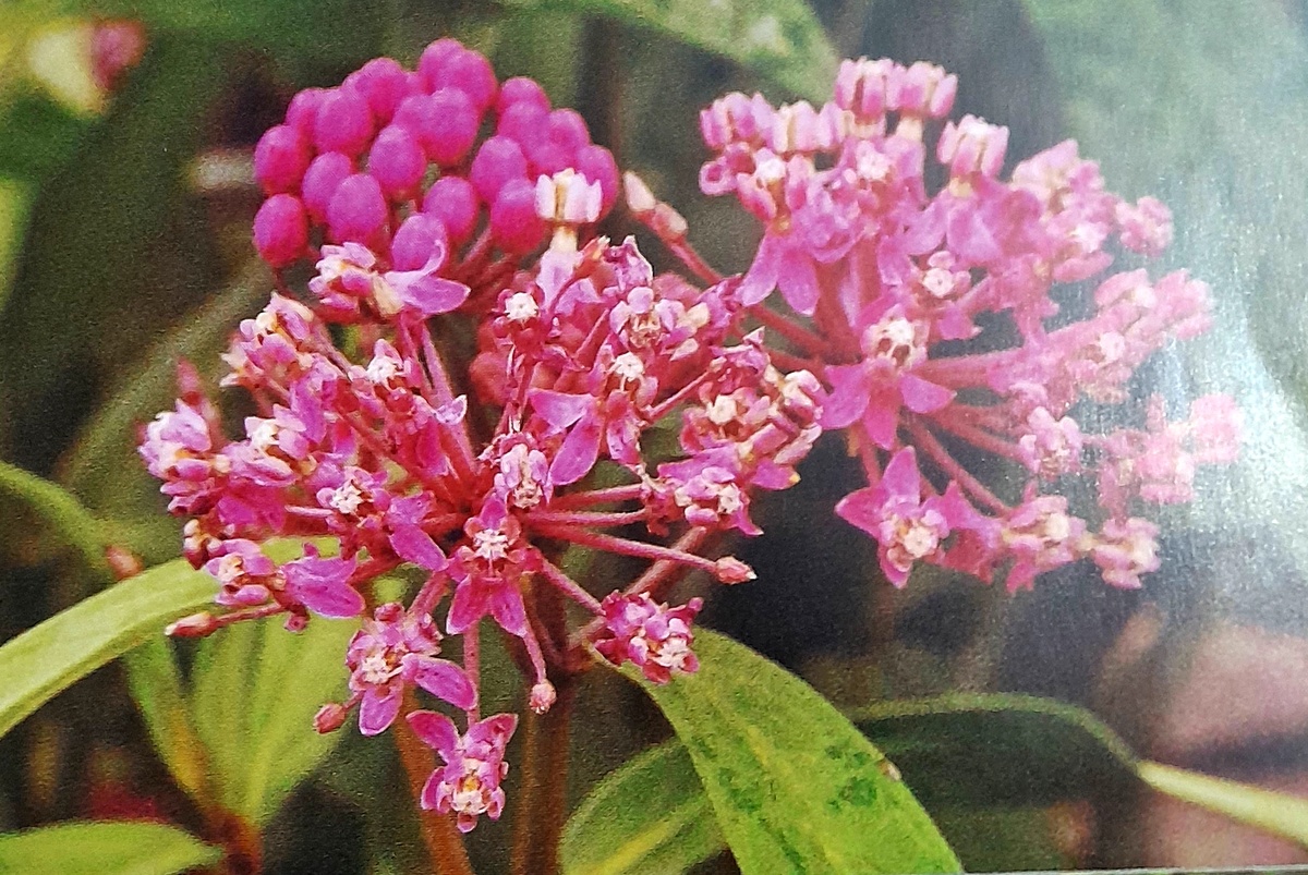 Фото автора канала