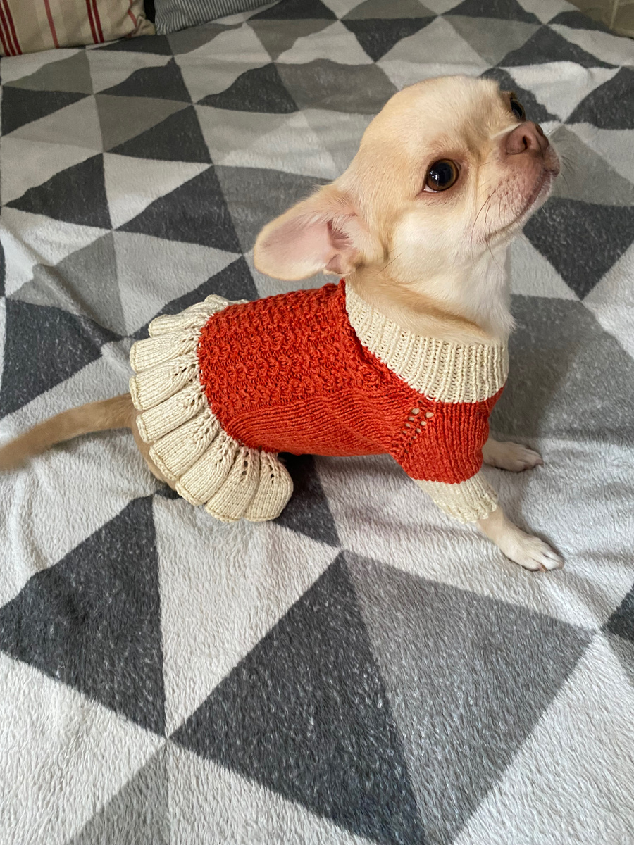 Чишка Ева в новом платье 👗 