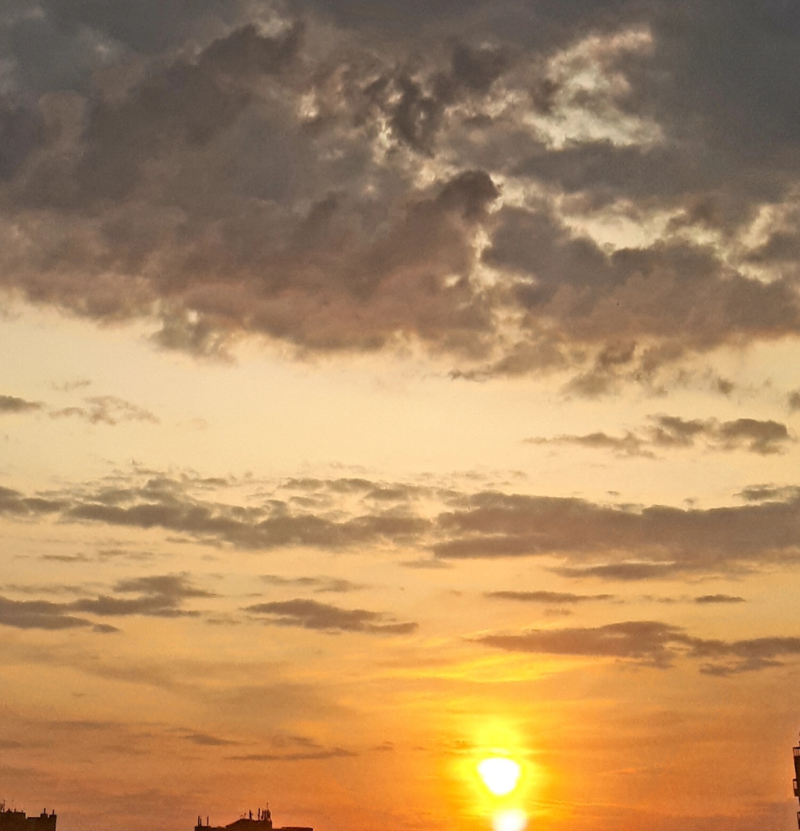 Фото автора статьи. 11.06.2025г.