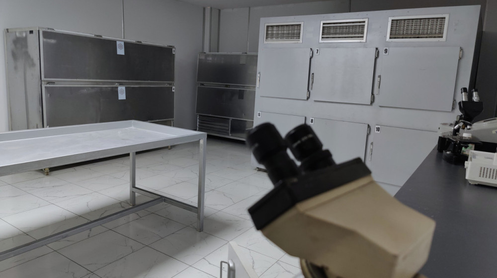    Исчезающие тела в моргах России кто или что превращает мертвых в жидкость