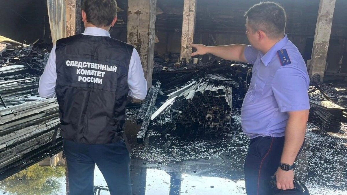     Источник: Телеграм-канал «Ростовский Следком»