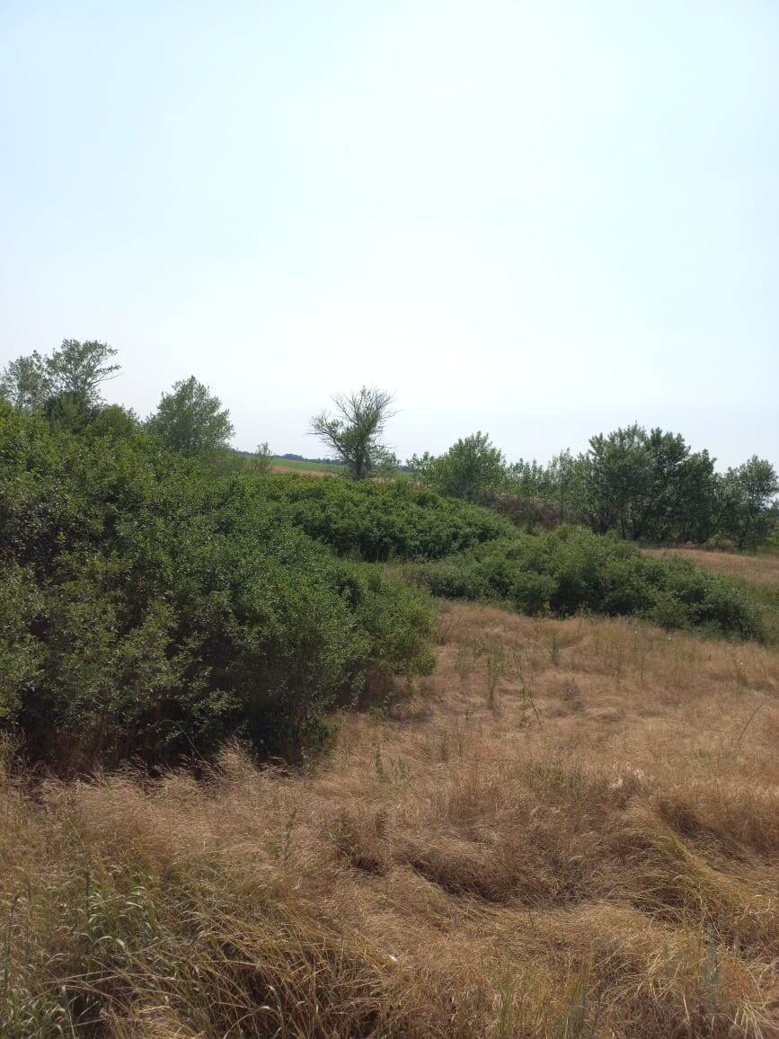 Личное фото автора