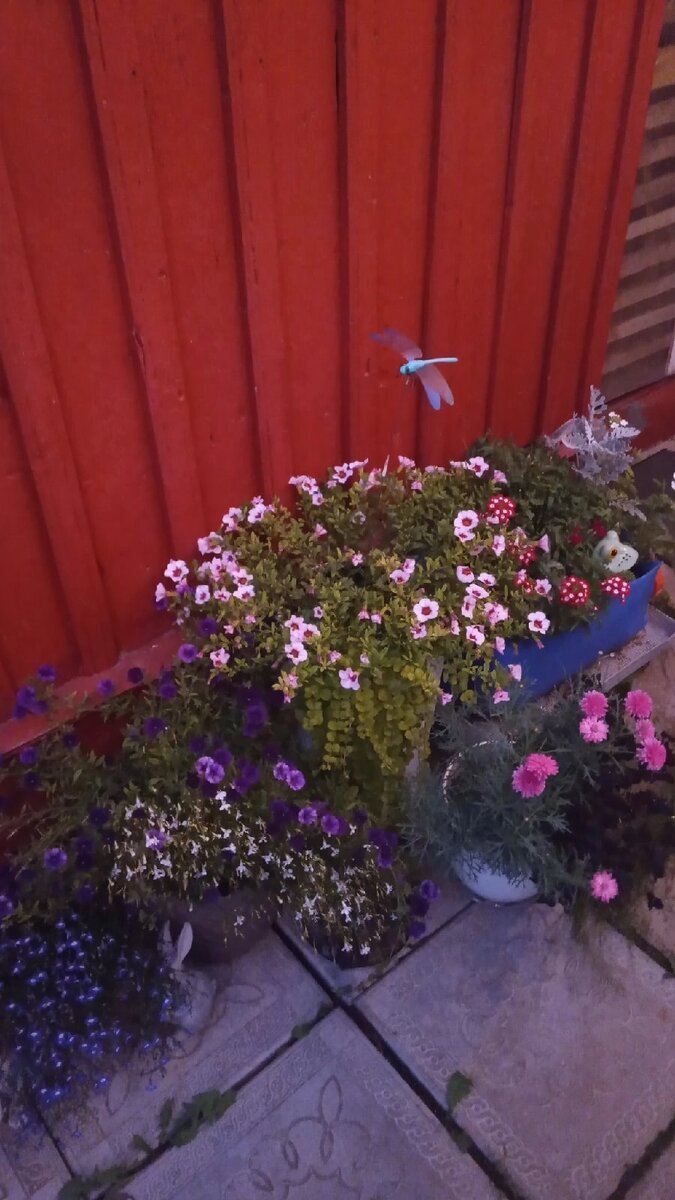 Горшечный садик. 