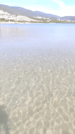 Акбук как лужа