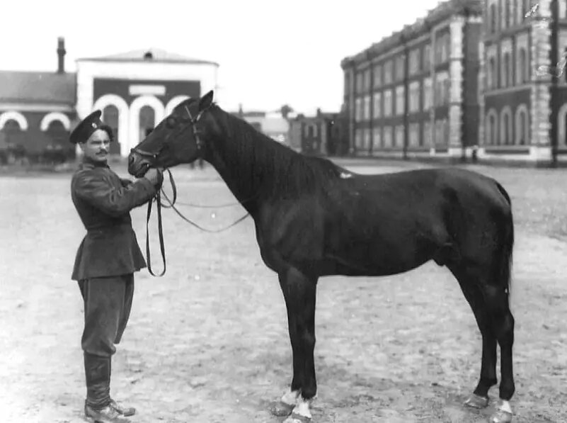 Казак на плацу казармы в Санкт-Петербурге, 1910-е гг.