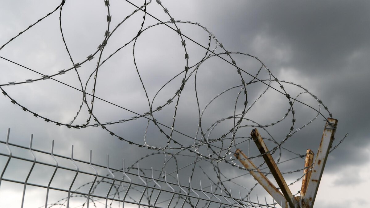    Фото: Belkin Alexey/news.ru/globallookpress.com