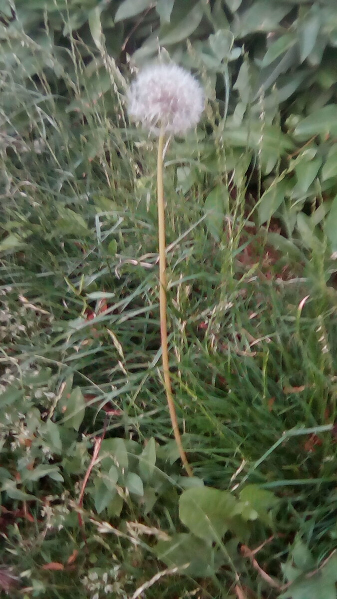 Фото с прогулки