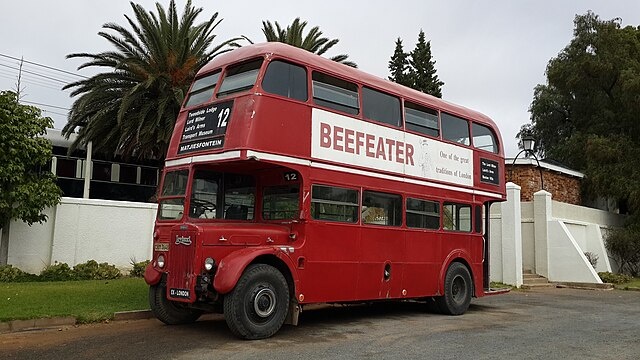 Sara Essop. Копия