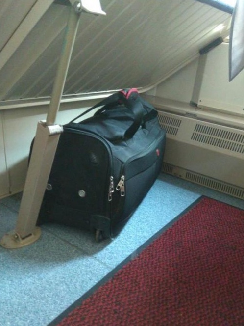 Фото: из открытых источников. 