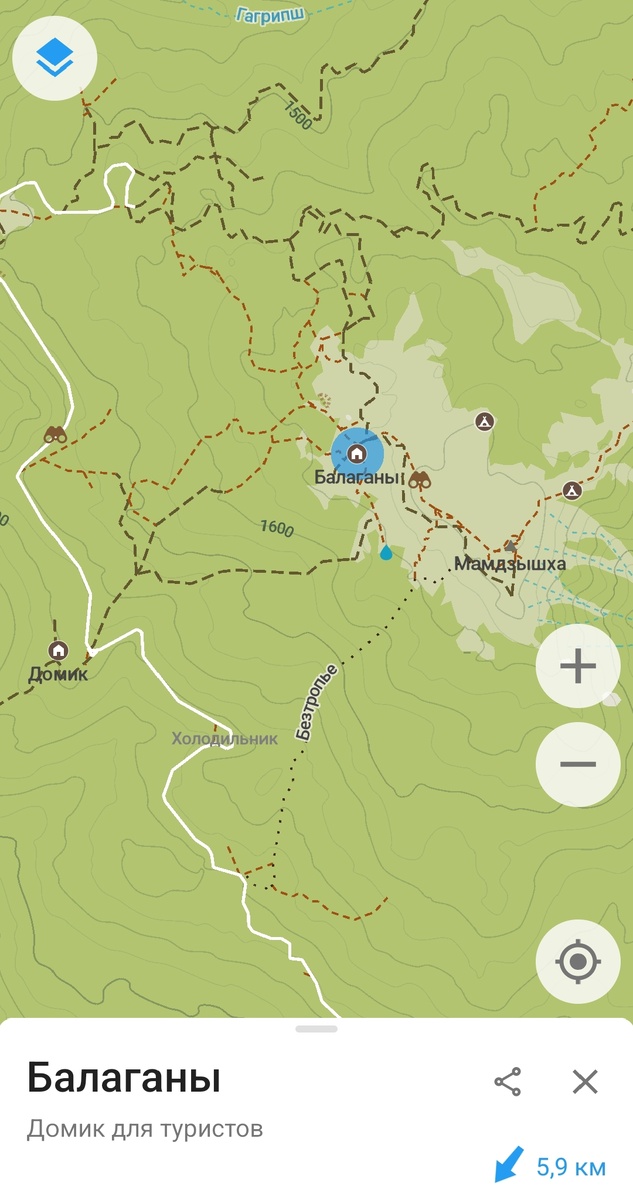 Скриншот из приложения Organic maps 