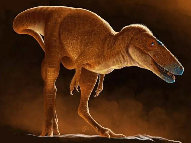    Фото: abcnews.go.com/Julius Csotonyi