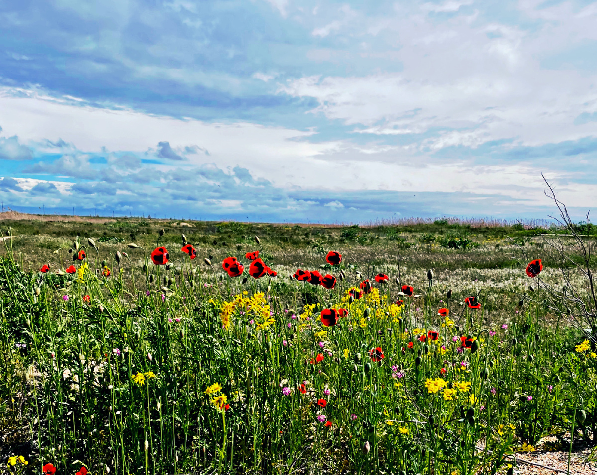 Фото автора.