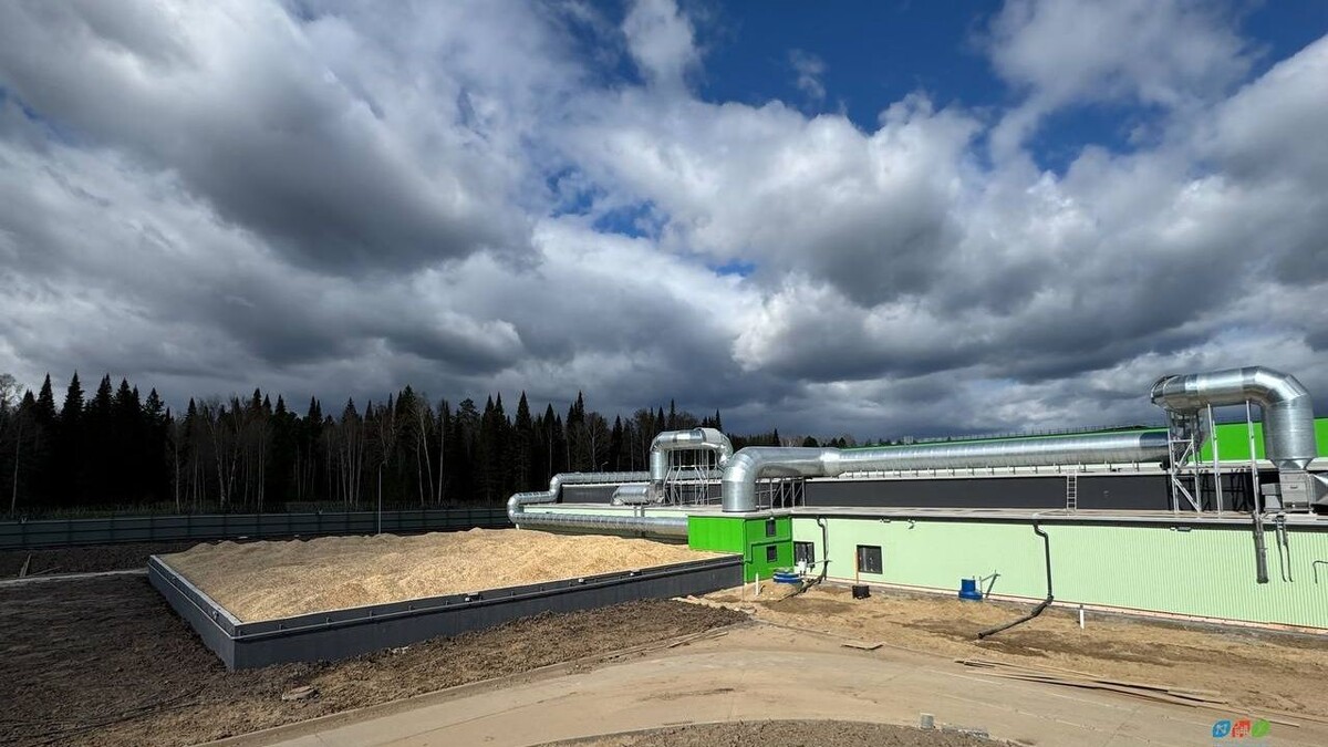     Источник: reo.ru