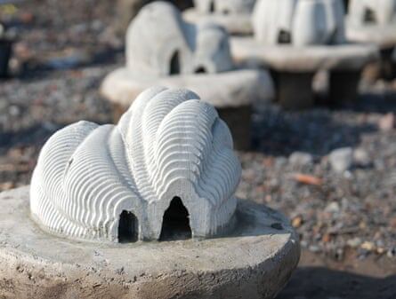 Мемориальные рифовые структуры созданы путем соединения праха домашних животных или человека с измельченными устричными раковинами и бетоном.