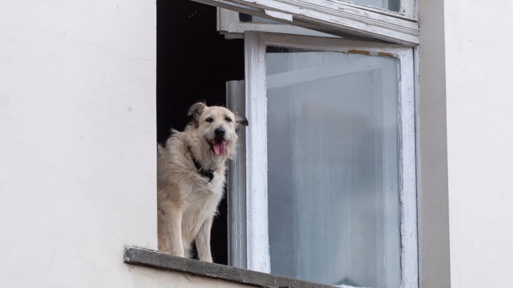    Komsomolskaya Pravda/Global Look Press