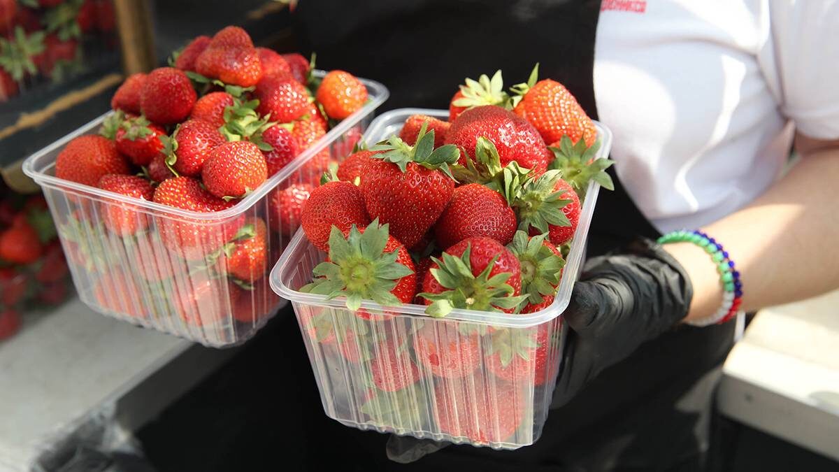    Фото: Василий Кузьмиченок / АГН Москва