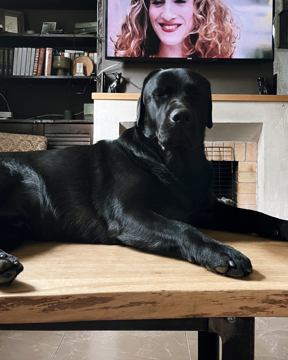 Патрик спит