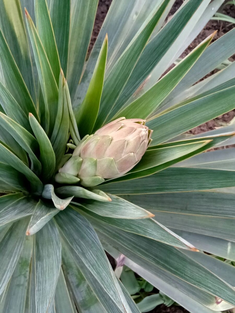 Собственное фото автора. 24 мая 2025 г.