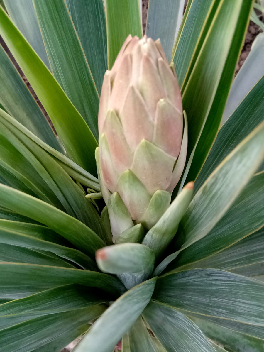 Собственное фото автора. 24 мая 2025 г., 18 час 16 мин