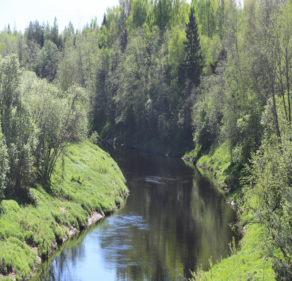 Река на Валдае. Фотография Якуцени С.П. ©