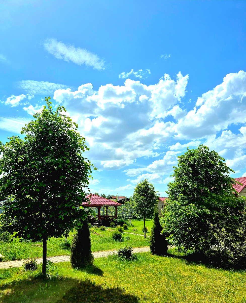 Июнь 2025 года. Солнечные просторы