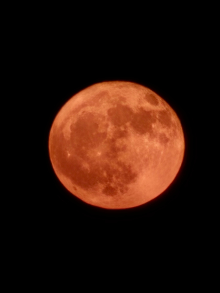 Клубничная Луна. Фото автора 11.06.2025