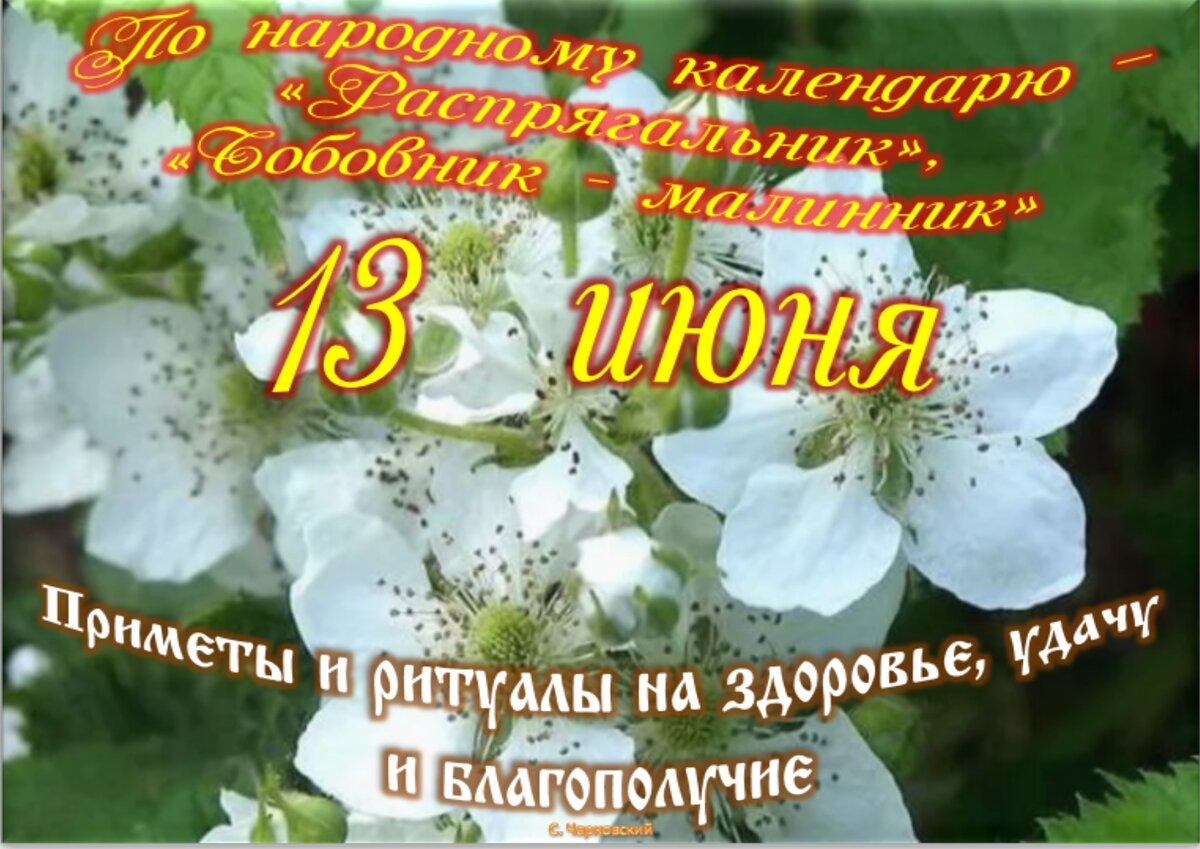 Встречаем новый день