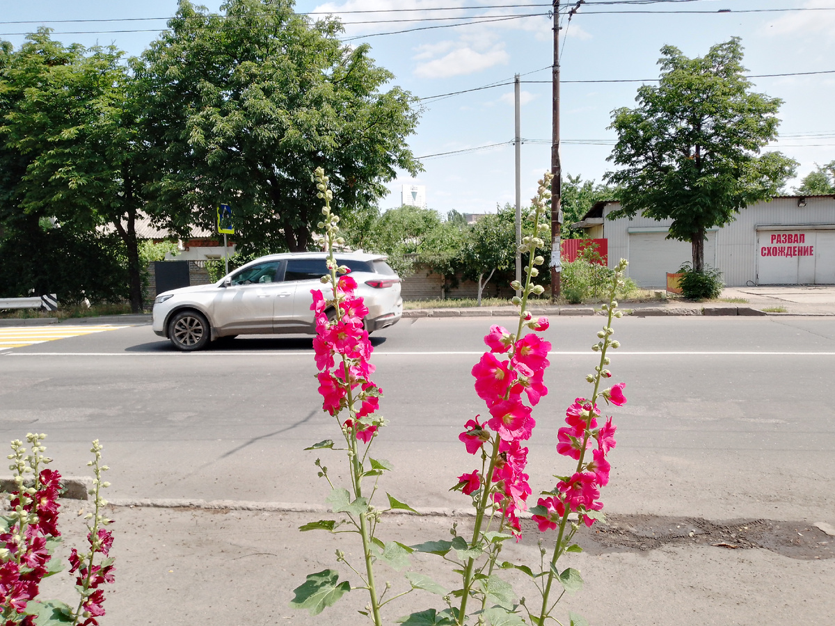 Фото автора. 