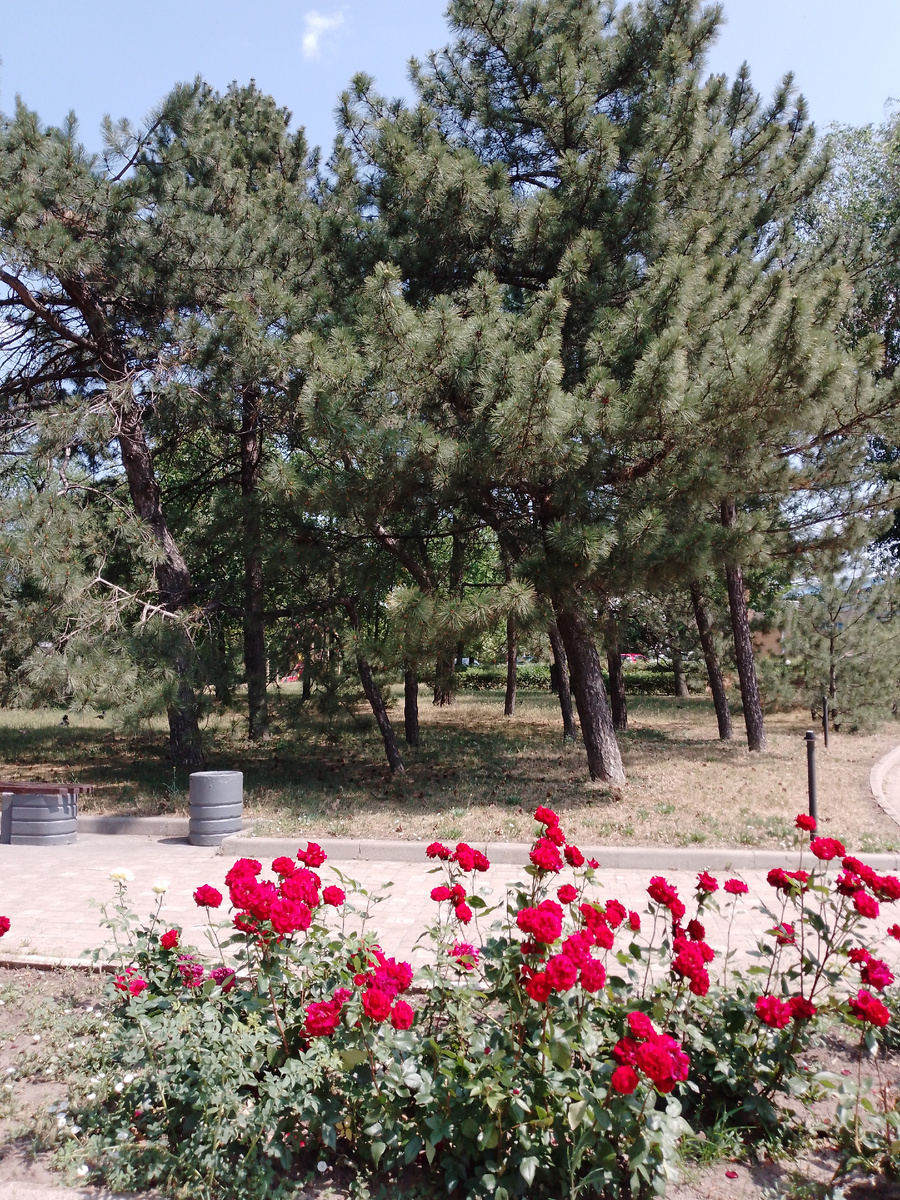 Фото автора. Около вокзала. 