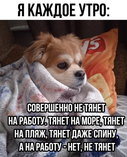 Не для слабонервных: 15 веселых фото россиян, которые пугают американцев!
