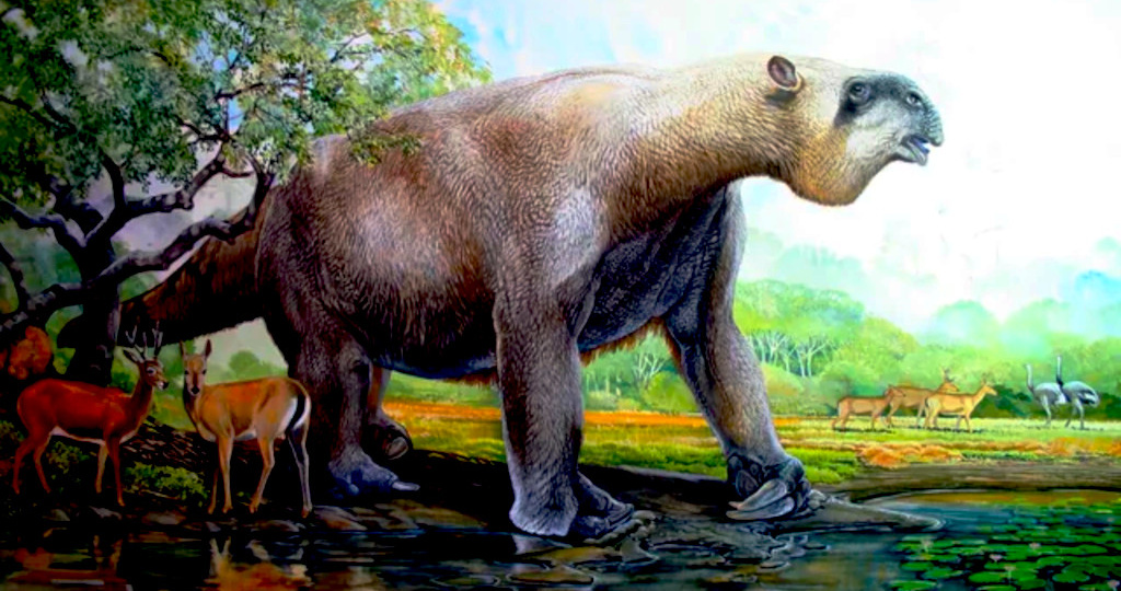 Как перестать быть гигантом и стать ленивцем