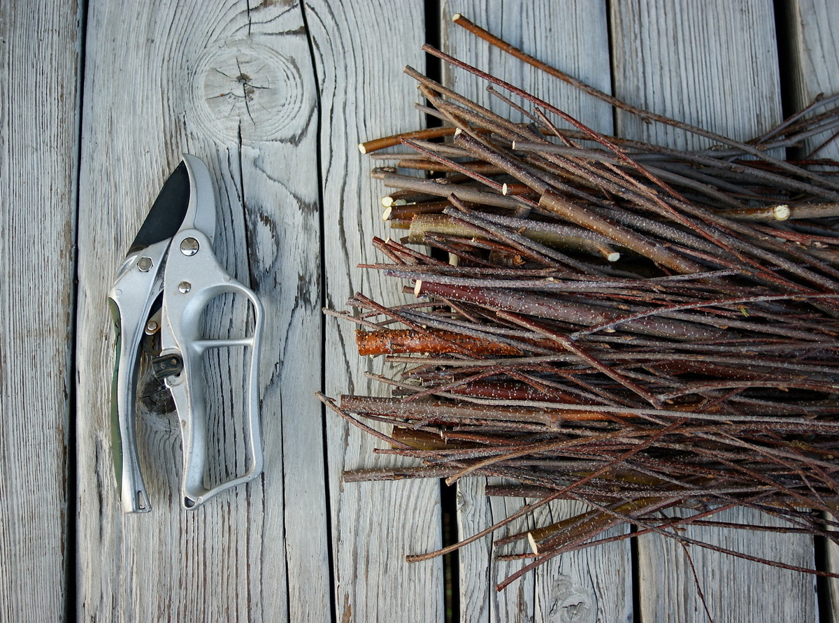 Толщину веток я брала не больше 1 сантиметра. 