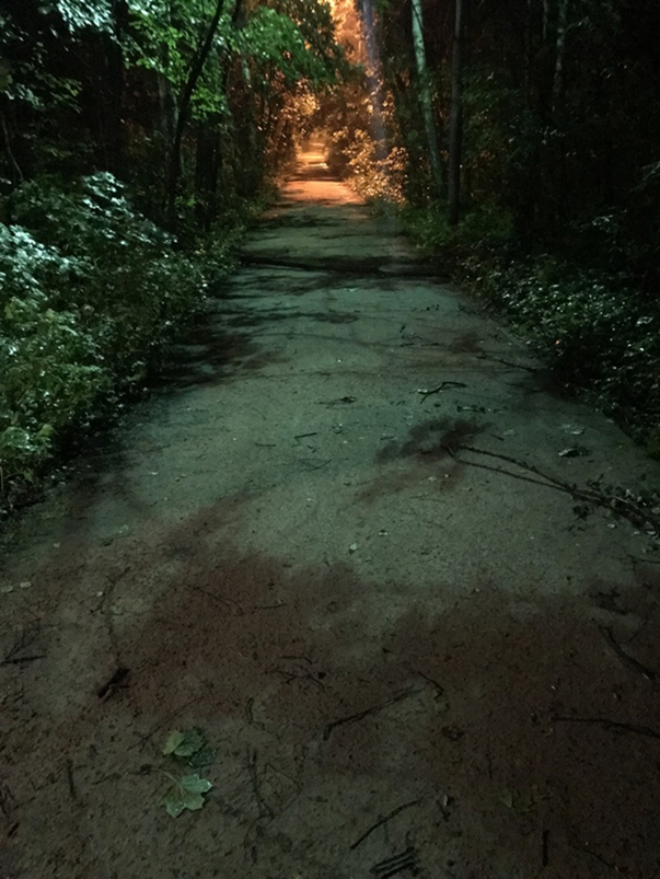 Фотография С.П. Якуцени ©.