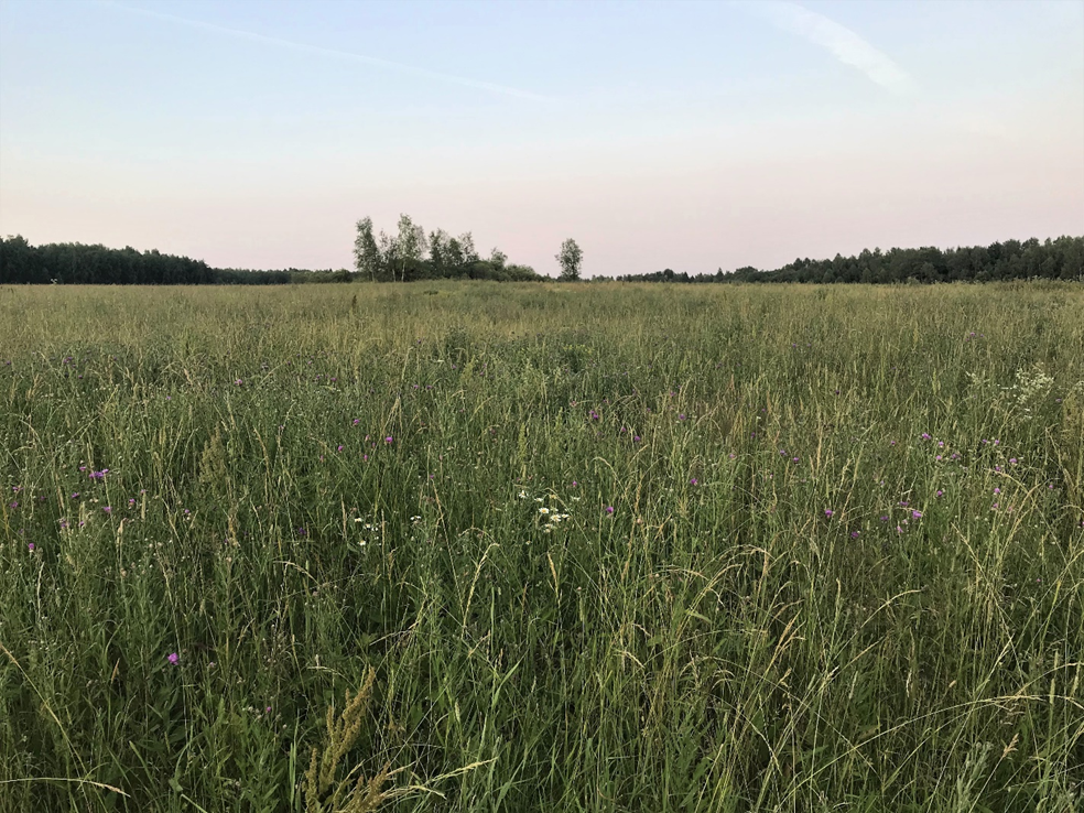 Фотография С.П. Якуцени ©.